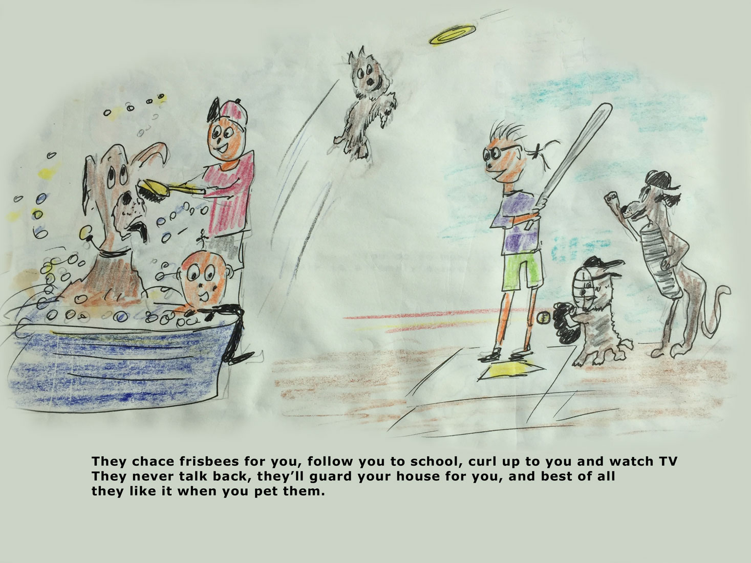 Slideshow Image 2