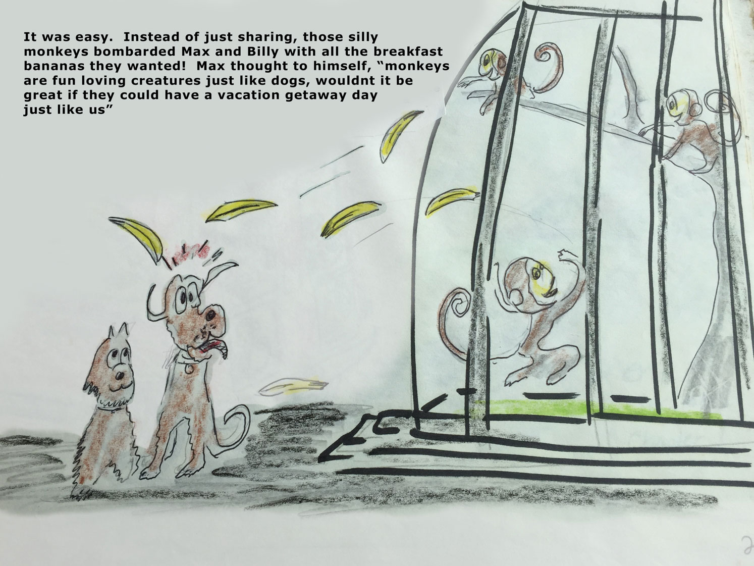 Slideshow Image 4